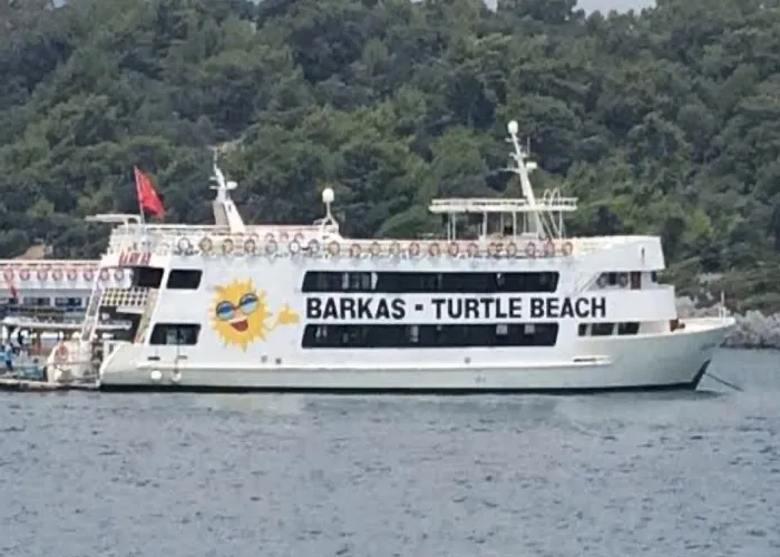 Icmeler: Dalyan Turtle Beach Tour By Barkas Boat w/ Lunch & Transfers