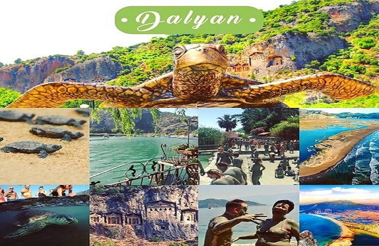 icmeler Dalyan Turtle Beach Tour By Orca Boat - Image 2