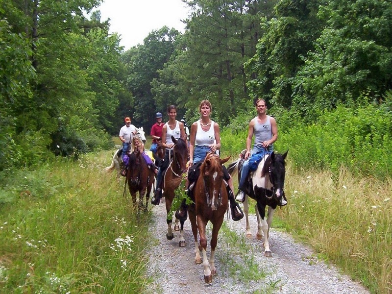 Icmeler: Horse Riding Through The Rivers and Forest - Image 2