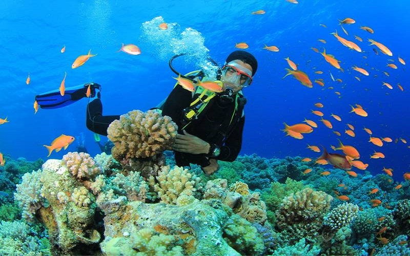 Dive into Kemer's underwater marvels on a guided excursion, discovering. - Image 2