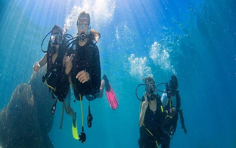 Dive into Kemer's underwater marvels on a guided excursion, discovering. - Image 4