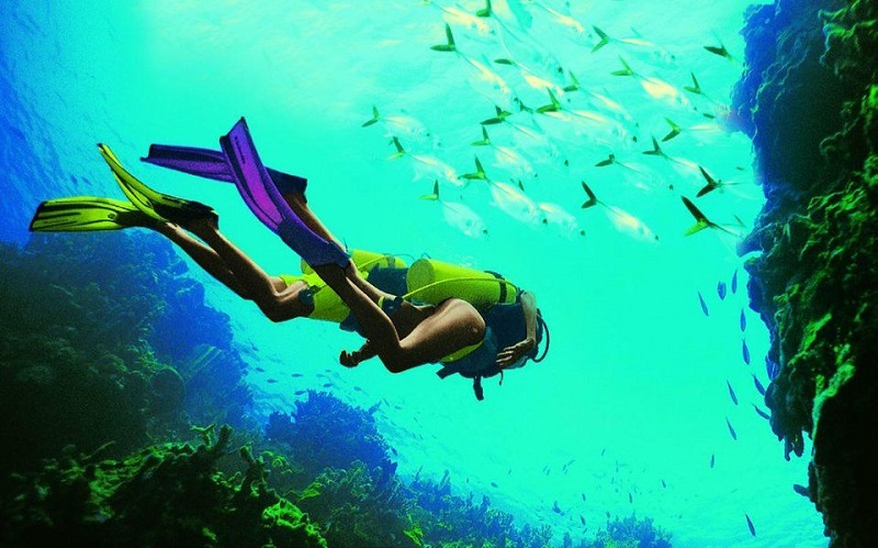Dive into Kemer's underwater marvels on a guided excursion, discovering. - Image 6
