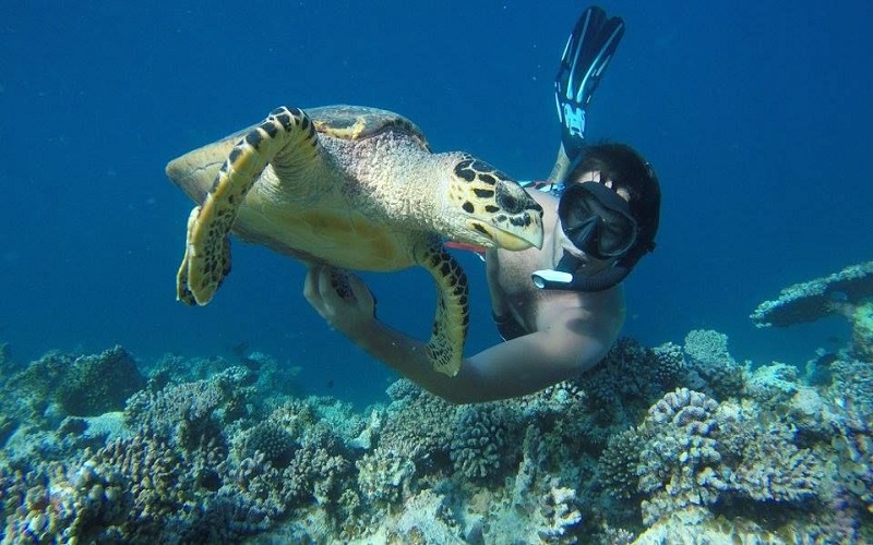 Dive into Kemer's underwater marvels on a guided excursion, discovering. - Image 7