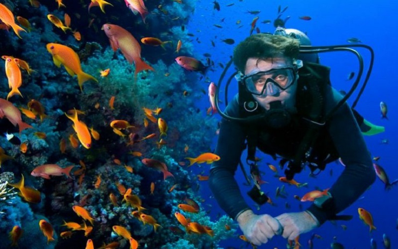 Dive into Kemer's underwater marvels on a guided excursion, discovering. - Image 9