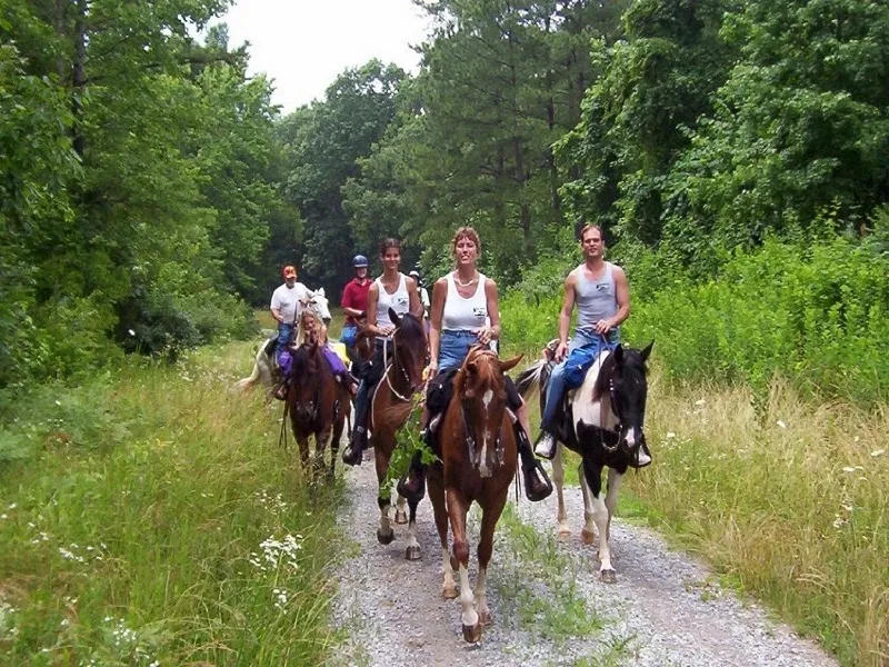 Marmaris Diamon At Safari - MARMARİS TURLARI